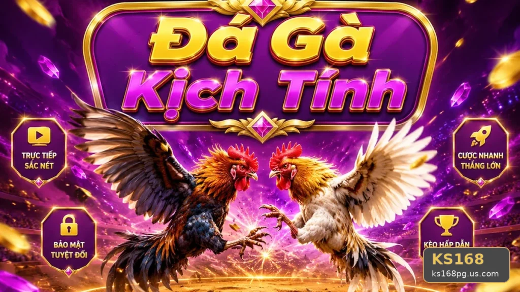 Đá Gà KS168 Trực Tuyến: Hướng Dẫn Người Mới Kiểm Tra Giao Diện Và Thông Tin Phiên Chơi Theo Dữ Liệu Cập Nhật Tại ks168pg.us.com